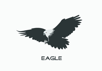 black white flying eagle logo design, vector illustration
