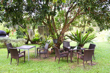 table chair outdoor nature green background - Table and chairs in the garden under the tree summer