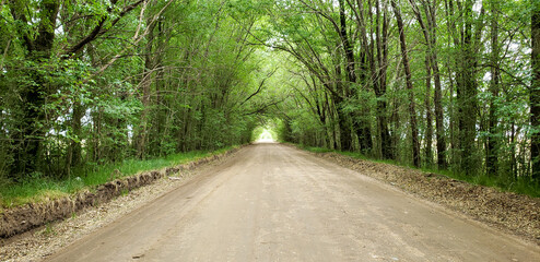 Obraz premium rural road