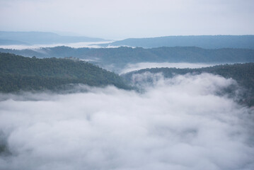 Misty mountain forest landscape in the morning fog and forest tree view on top - Foggy morning mist in valley beautiful in Thailand Asian