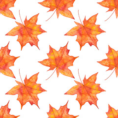 Autumn watercolor seamless pattern with red maple leaves.Hand drawn illustration.Isolated on white background.Seasonal ornament for fabric,textile,wallpaper,wrapping paper,thanksgiving design projects
