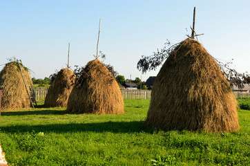 hay bales in the field