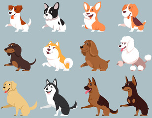 Dogs of different breeds giving paw. Big set of cute pets.