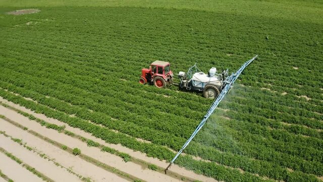 Aerial shot above a crop field. Agriculture farming crop duster. Vegetable harvest