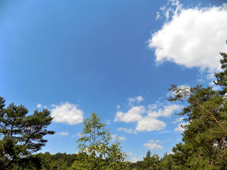 Beautiful Sky during Nice Sunny Day