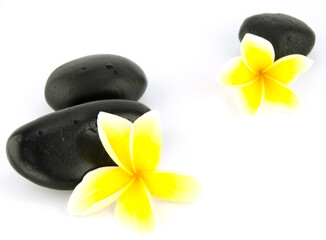 Yellow Frangipani flowers and spa stones with flowers placed on the floor and white.