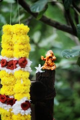 yellow flowers in the garden