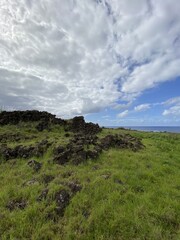 Fototapeta na wymiar Lande rocheuse à l'île de Pâques 