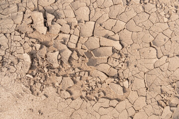Dry soil ground cracks background texture in drought, Top view