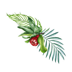 Pomegranate fruit and palm leaf watercolor illustration. Hand drawn fresh garnet, organic fruit and tropical palm leaves. Exotic floral arrangement isolated on white background.