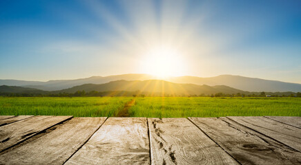 old brown wooden floor beside green rice field in the evening and beam sunset