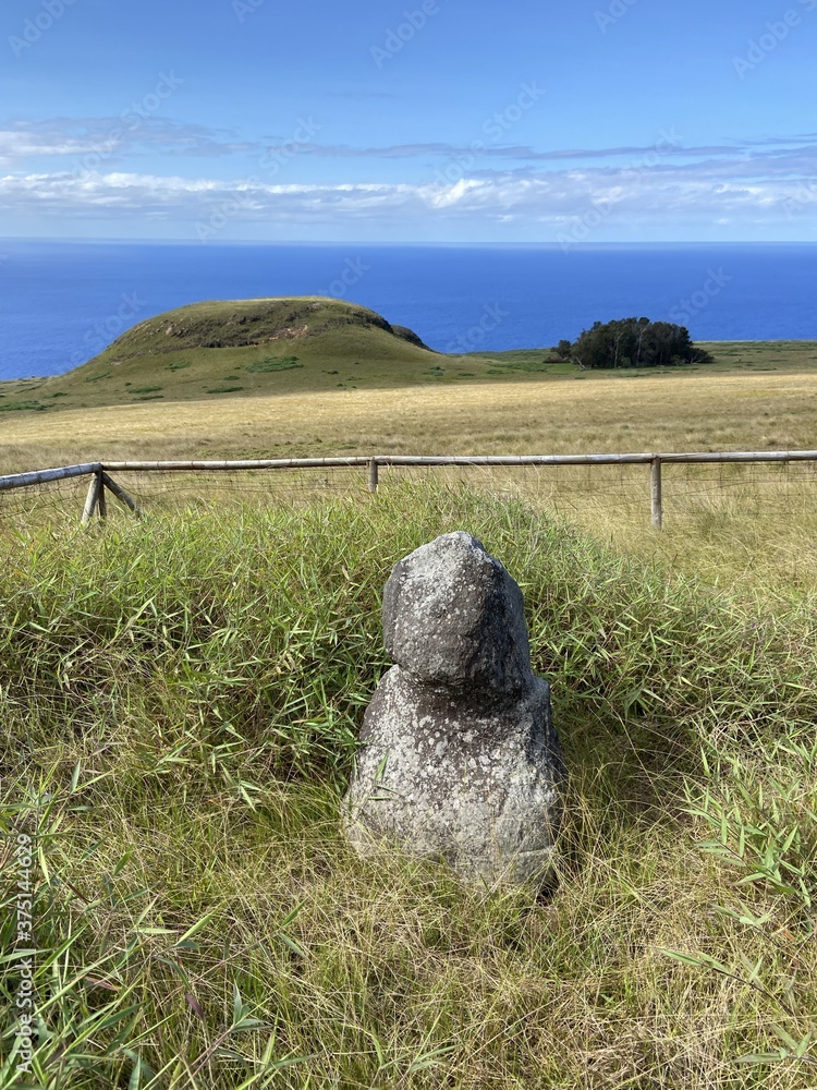 Canvas Prints Statue, lande et littoral de l'île de Pâques