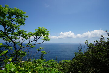 Fototapeta na wymiar landscape of the sea in Izu, Shizuoka, Japan