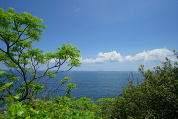 Fototapeta na wymiar landscape of the sea in Izu, Shizuoka, Japan