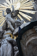Fototapeta na wymiar Pigeon on cathedral