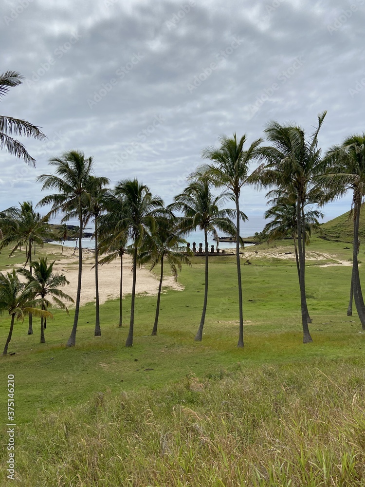 Wall mural Palmiers sur la plage d'Anakena à l'île de Pâques