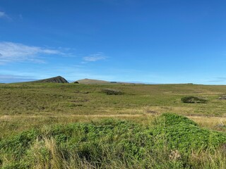 Prairie à l'île de Pâques	