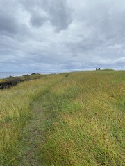 Fototapeta premium Prairie de l'île de Pâques