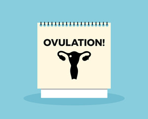 Ovulation calendar - fertile day and window as period and time for impregnation and fertilization. Family planning and natural birth control. Vector illustration.