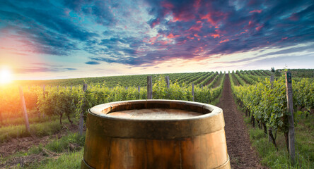 Chianti vineyard landscape in Tuscany, Italy field