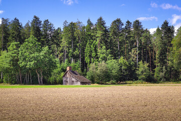 Black Forest scenery with wooden hut