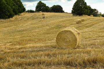 Field with bales of straw