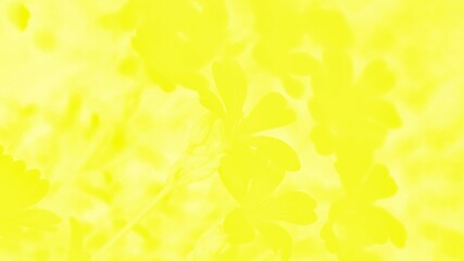 Yellow background with flowers pattern, panorama background