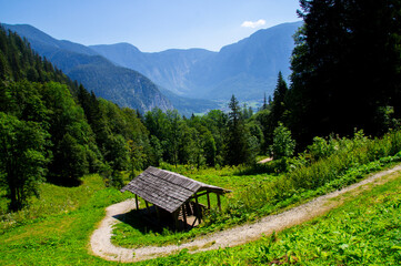 Wooden bench located in the forest among the Valleys .Austria beautiful Landscape. 