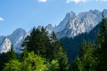Fototapeta na wymiar forest,mountains and sky ,beautiful nature background