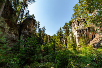 Las skała drzewa przyroda czechy skalne miasto adrspach © Dariusz