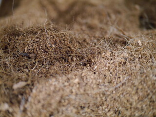 Close up of soil for tree planting