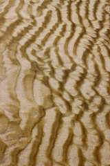 Abstract background texture of dark ripples in light colored sand on a beach