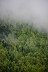 Obraz na płótnie Canvas fog over the beautiful mountains