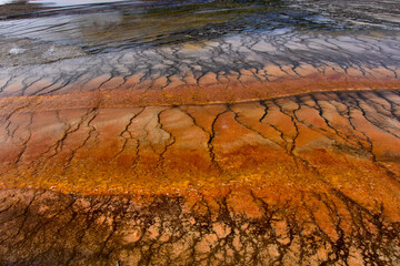 Bacteria Mats at Midway Geyser Basin Yellowstone National Park. 