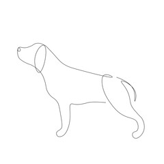 Cute dog on white background. Vector illustration