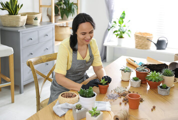 Obraz na płótnie Canvas Mature woman potting succulent plant at home. Engaging hobby