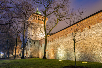 Florian Gate in Krakow - obrazy, fototapety, plakaty