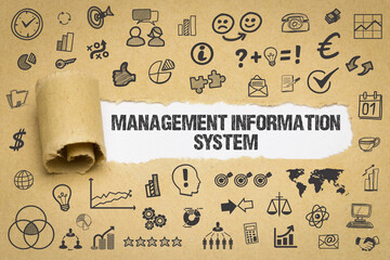 Management Information System 