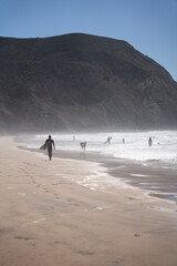 Surfer walking along the shore with a surfboard and people bathing on the beach