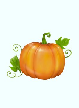A light orange pumpkin with green leaves, digital hand drawing and painting picture, isolate image.