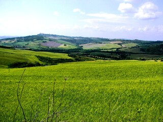 Fototapeta na wymiar View of the Tuscan countryside - Italy Pienza