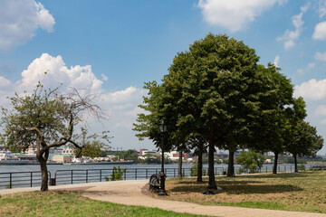 Astoria Queens Riverfront Park along the East River in New York City during Summer