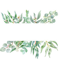rectangular watercolor frame with eucalyptus - obrazy, fototapety, plakaty