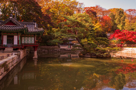 The scenery of Autumn, Huwon,Secert garden,Changdeokgung palace,Unesco World heritage,Seoul Korea.
