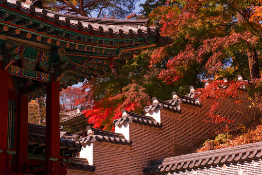 The scenery of Autumn, Huwon,Secert garden,Changdeokgung palace,Unesco World heritage,Seoul Korea.