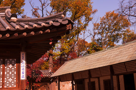 The scenery of Autumn, Huwon,Secert garden,Changdeokgung palace,Unesco World heritage,Seoul Korea.