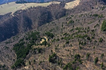 Spring aerial view of steep hillslope in High Tatra mountains with isolated coniferous trees and...
