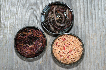 Compost worms, fly larvae and large earthworms in fishing boxes on a wooden grey background.