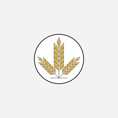 Agriculture wheat  logo vector