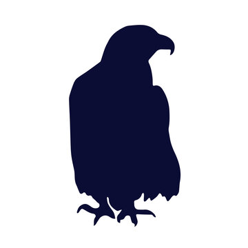 recommend clip art: Black silhouette of an eagle in profile. Vector illustration of a large bird. Hand drawn element with magical symbol. Isolated object on a white background. 